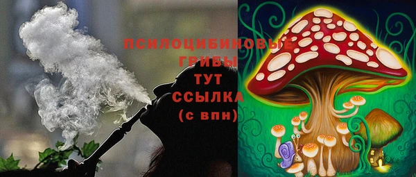 не бодяженный Армянск