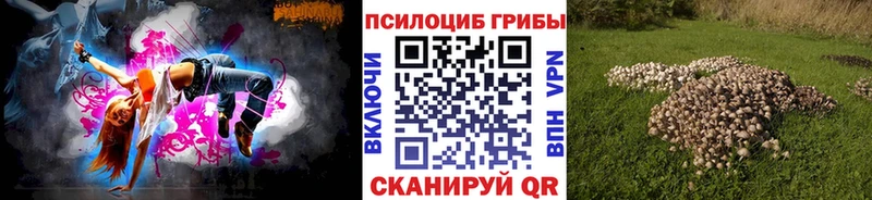 Галлюциногенные грибы мухоморы  как найти наркотики  Ступино 